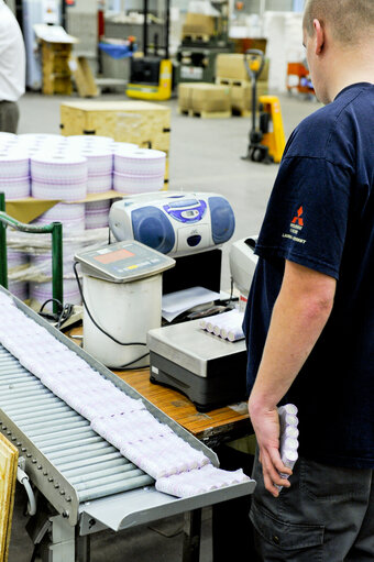 Suriet 20: Mintage of coins