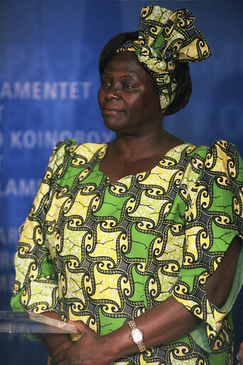 Wangari MAATHAI, 2004 Nobel Peace Prize Winner at The European Parliament