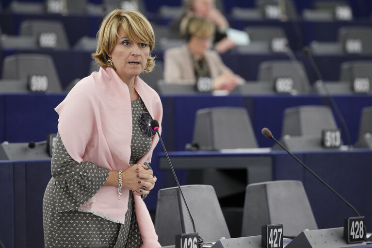 Fotografija 12: Plenary Session in Strasbourg - Week 43