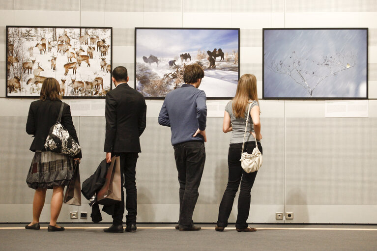 Foto 7: Opening speech for the exhibition 'Forest and People' organised by the Good Planet association