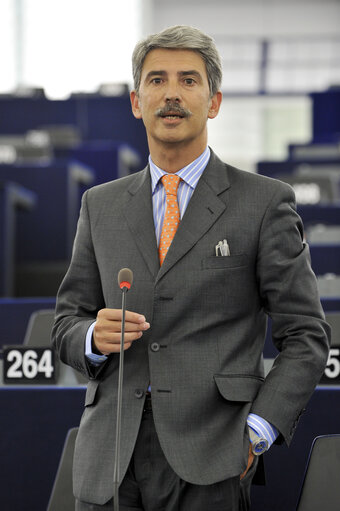 Mep at the Plenary Session in Strasbourg, week 37