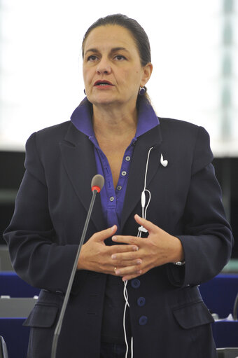 Fotografi 50: Mep at the Plenary Session in Strasbourg, week 37