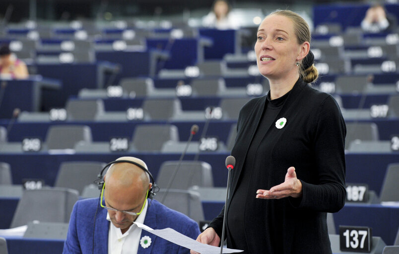 Valokuva 38: Hemicycle during the Plenary Session in Strasbourg - Week 27 - Scheme for food distribution to the most deprived persons in the Union