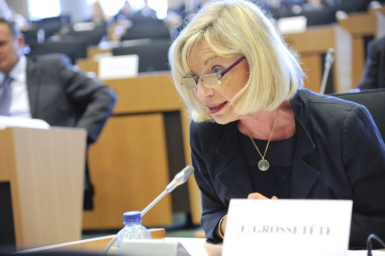 Fotografie 5: ENVI Committee - Hearing of the Executive Director-designate of the EMA.