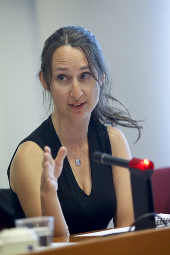 How the Canada-EU free trade will affect social and environmental policy in EU and Canada