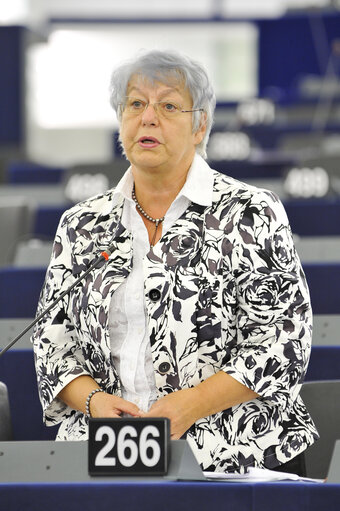 Mep at the Plenary Session in Strasbourg, week 37