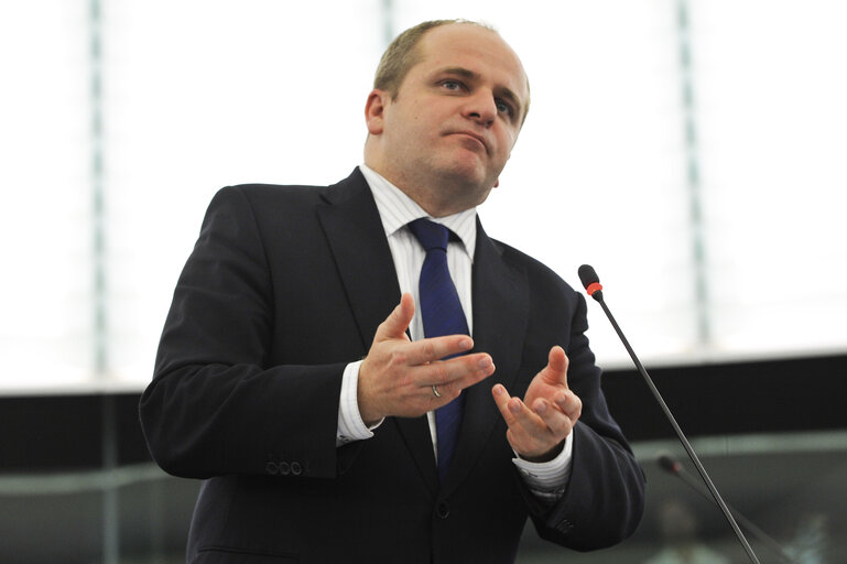 Mep at the Plenary Session in Strasbourg, week 37