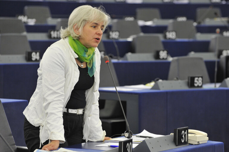 Foto 48: Mep at the Plenary Session in Strasbourg, week 37