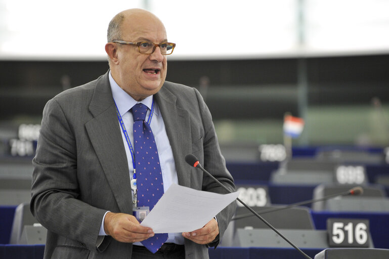 Mep at the Plenary Session in Strasbourg, week 37