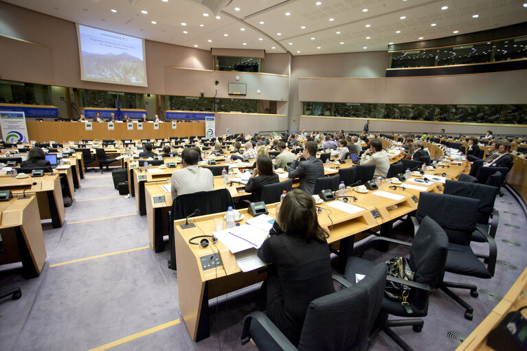 Photo 9: High-Level Conference International Year of Forests