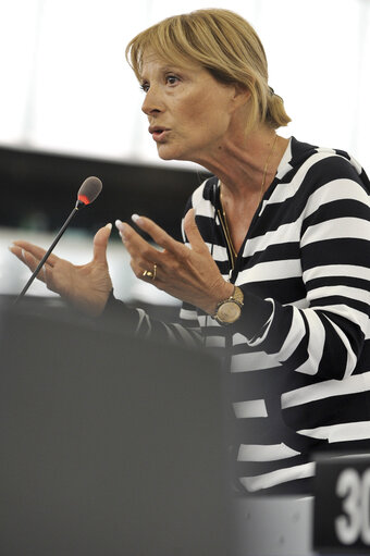 Fotografija 37: Mep at the Plenary Session in Strasbourg, week 37