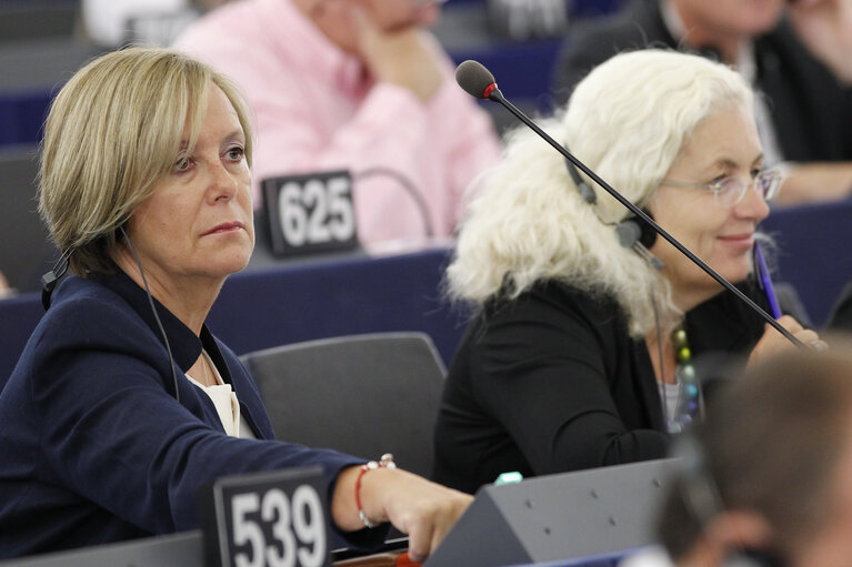 Photo 2: MEPs during Plenary Session in Strasbourg - Week 37