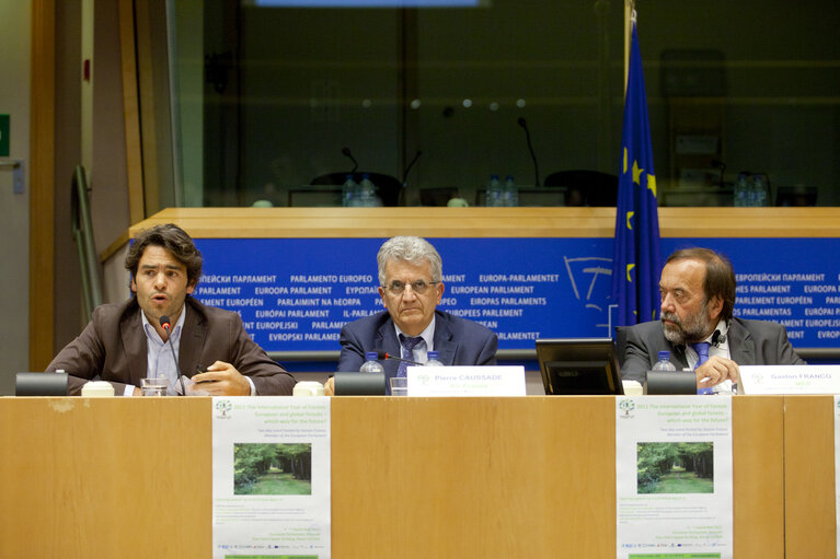 Photo 2: High-Level Conference International Year of Forests