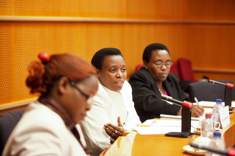 Fotografi 1: Study visit of female MPs from Burundi to the European Parliament