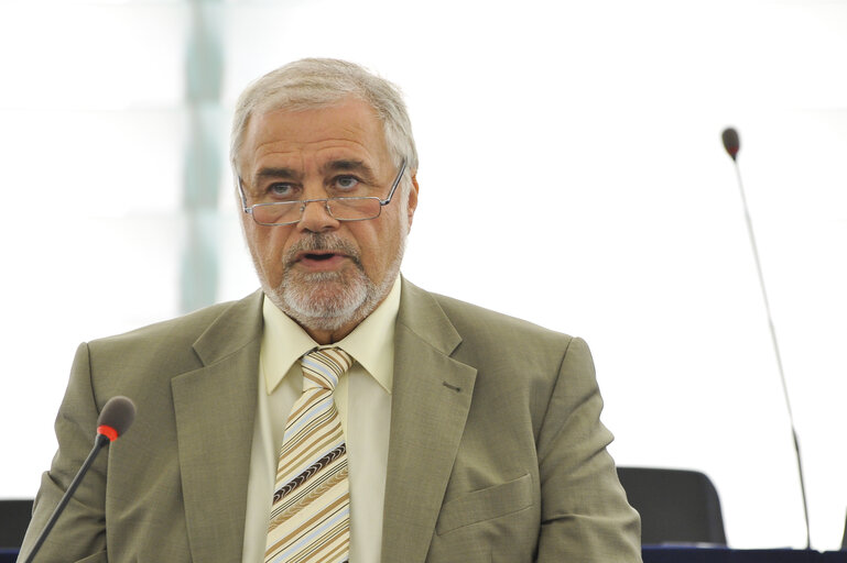 Mep at the Plenary Session in Strasbourg, week 37