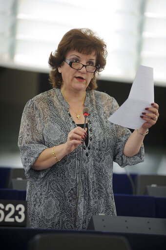 Fotagrafa 27: MEPs during Plenary Session in Strasbourg - Week 37