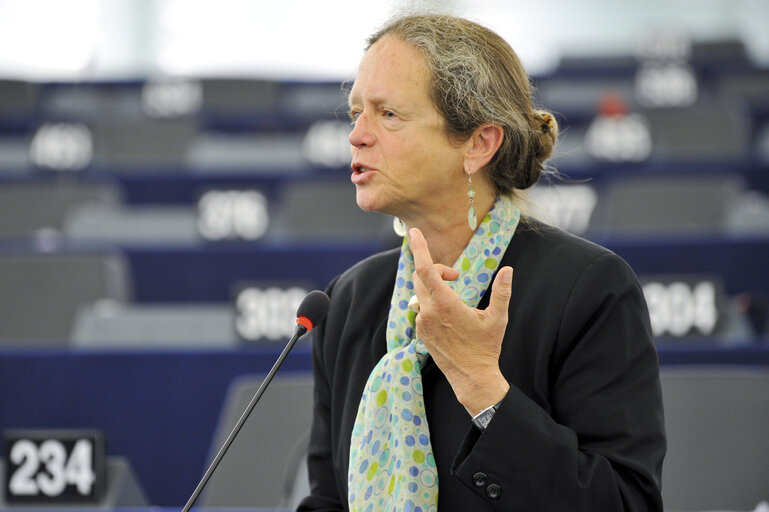 Mep at the Plenary Session in Strasbourg, week 37