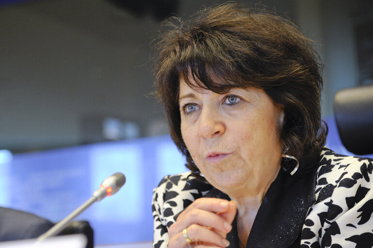 Fotografie 12: ENVI Committee - Hearing of the Executive Director-designate of the EMA.