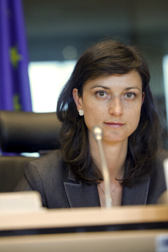 Fotografia 7: EPP Hearing on migration to the Schengen area