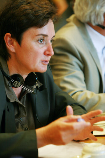 Jana HYBASKOVA in a meeting at the EP in Brussels.