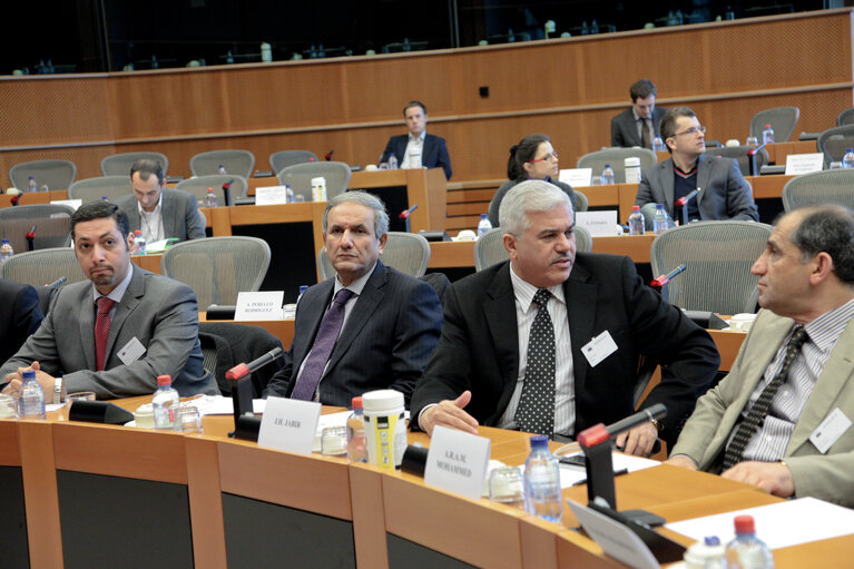 Exchange of views on the election process in Iraq in view of the general elections of 7 March 2010, in the presence of a Delegation of Iraqi Council of Representatives.