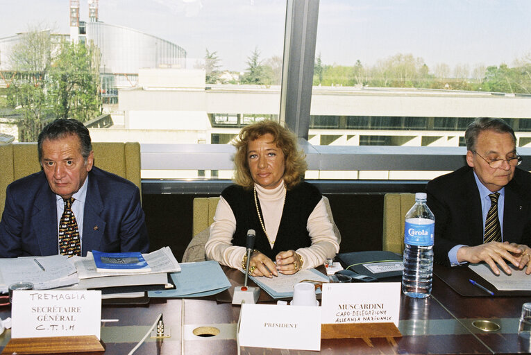 Meeting at the European Parliament