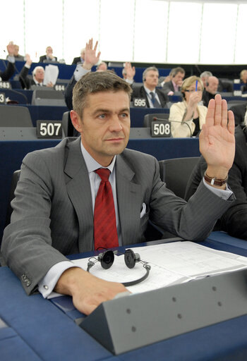 MEP in Plenary Session in Strasbourg