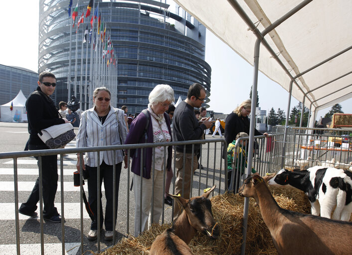 Valokuva 21: Open days of the European Parliament in Strasbourg