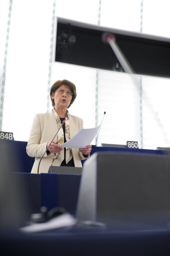 Photo 28 : plenary session week 51 2014 in Strasbourg - Freedom of expression in Turkey