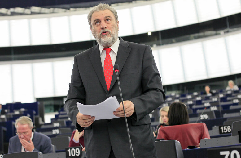 Fotografia 7: Plenary session week 51 2014 in Strasbourg - Convention on International Trade in Endangered Species (CITES)