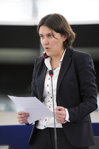 Fotografie 49: Plenary session week 51 2014 in Strasbourg - Georgia