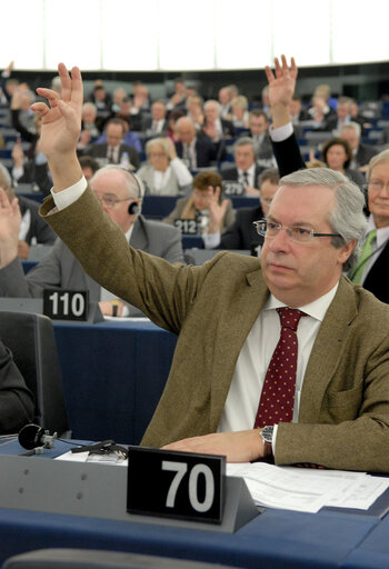 MEP in Plenary Session in Strasbourg