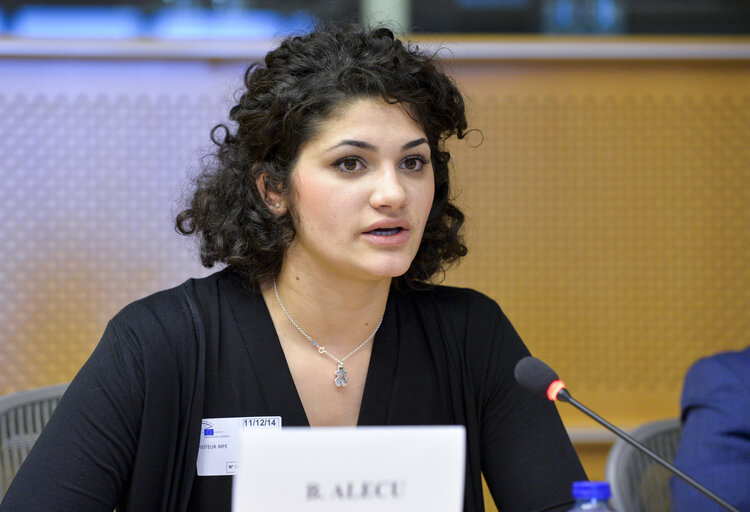 Fotografija 13: Meeting:  From Beggar to MEP a Roma Integration Story