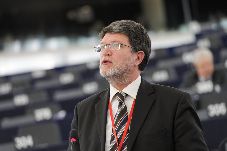 Fotografija 37: Plenary session week 51 2014 in Strasbourg - Georgia