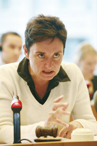 Jana HYBASKOVA in a meeting at the EP in Brussels.