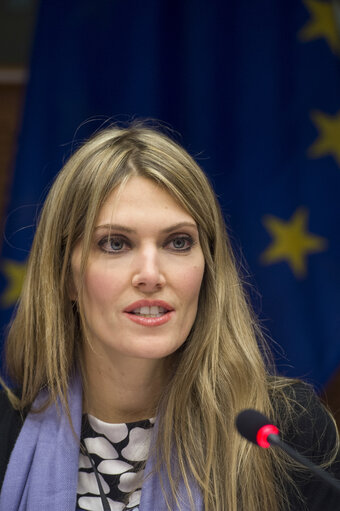 STOA meeting:  Being human in an hyperconnected era