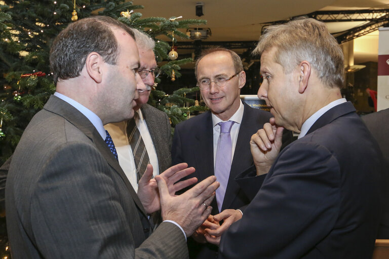 Austria offers a Christmas tree to the European Parliament