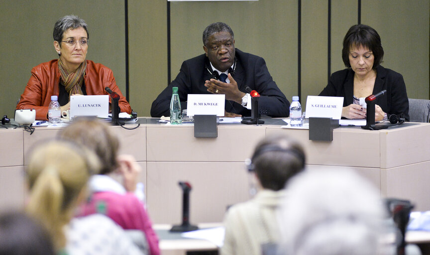 Foto 12: Seminar for journalists.  Sakharov prize for freedom of thought.