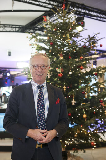 Fotagrafa 9: MEP Gunnar HOKMARK next to the EP Christmas Tree