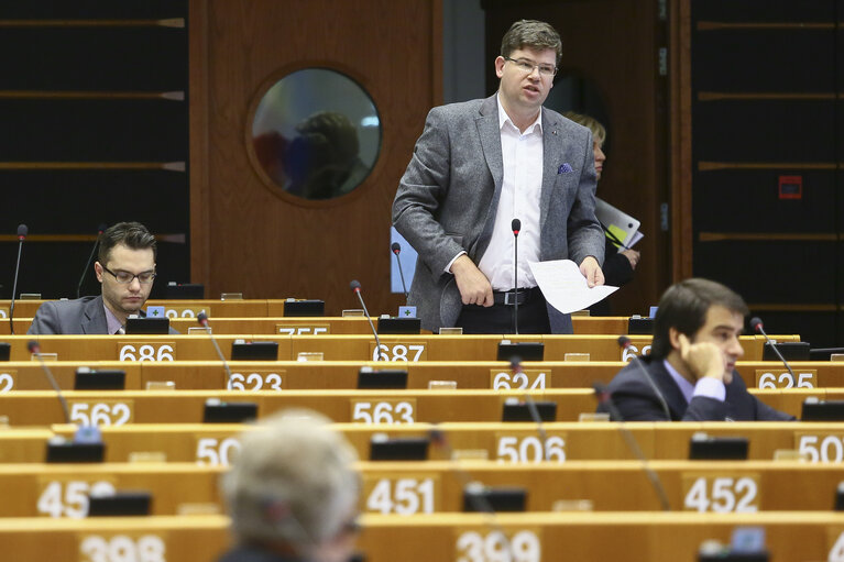 Fotografia 14: Plenary session in brussels - week 46 2014