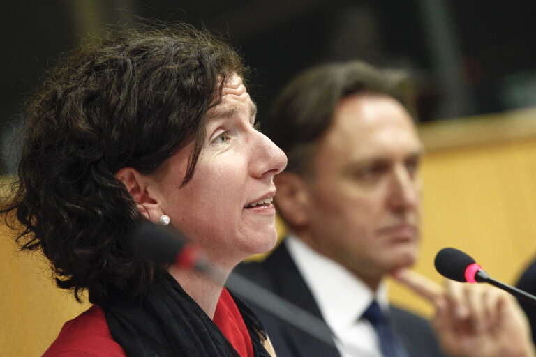 Fotografie 15: 9th EU-Montenegro Stabilisation and Association Parliamentary Committee meeting