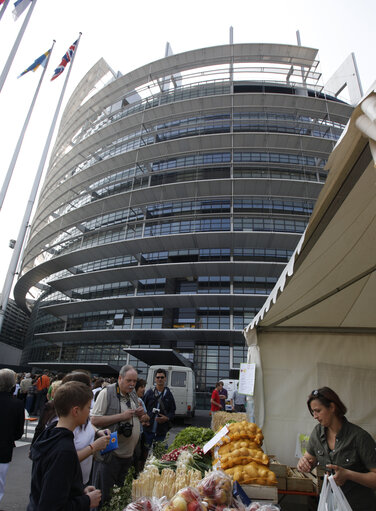 Valokuva 19: Open days of the European Parliament in Strasbourg