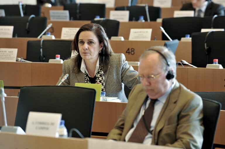 Fotografi 16: International Market