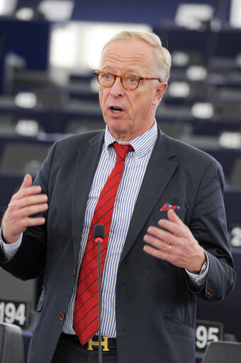 Fotografie 38: Plenary session week 51 2014 in Strasbourg - Georgia