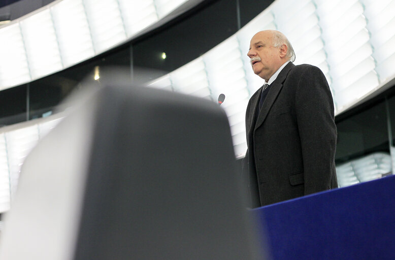 Fotografia 16: Plenary session week 51 2014 in Strasbourg - Convention on International Trade in Endangered Species (CITES)