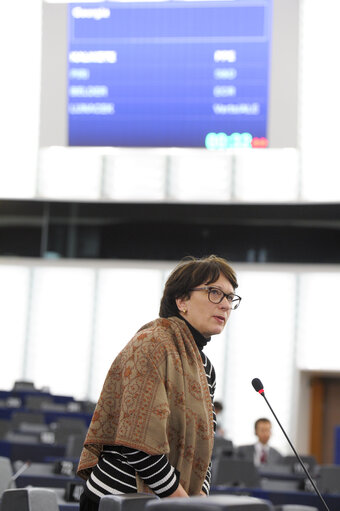 Photo 50 : Plenary session week 51 2014 in Strasbourg - Georgia