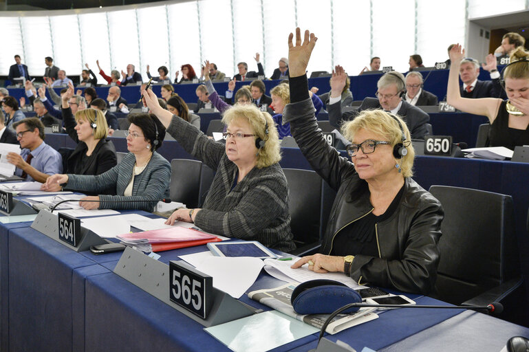 Foto 3: Eva JOLY during the vote in plenary chamber