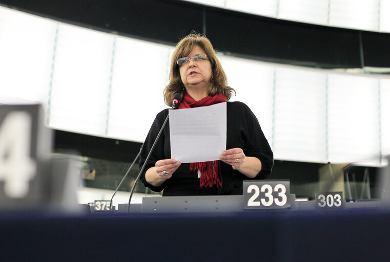 Zdjęcie 34: Plenary session week 51 2014 in Strasbourg - Implementation of the Fuel Quality Directive