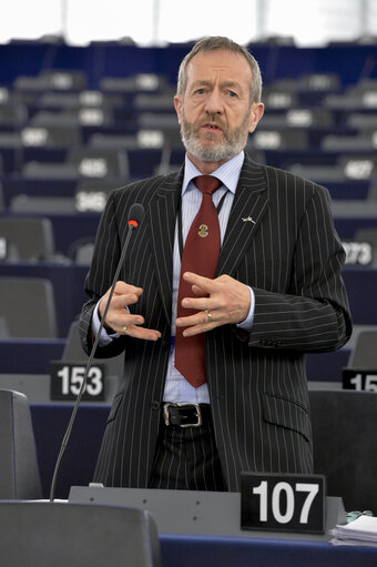 Fotografija 4: Plenary  session week 51 2014 in Strasbourg - Explanation of votes