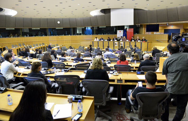 Photo 22 : Meeting:  From Beggar to MEP a Roma Integration Story